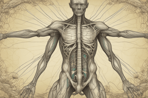 Anatomy and Physiology of the Lymphatic System