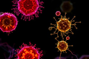 NF-AT Pathway and T Cell Activation