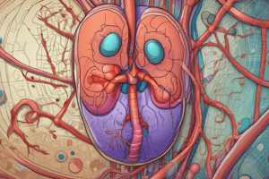 Kidney Functions and Diuretics Quiz