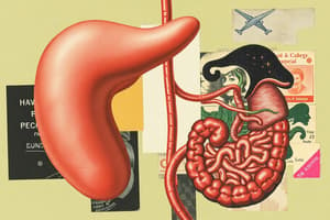 Pancreas Function Quiz