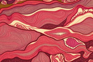 Muscle Histology Overview