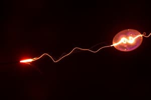 Physics Chapter 1: Electric Charges and Fields