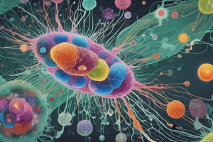 Structure and Function of the Glycocalyx