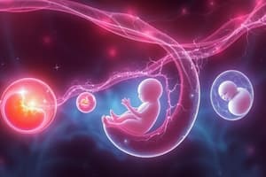 Prenatal Development Quiz