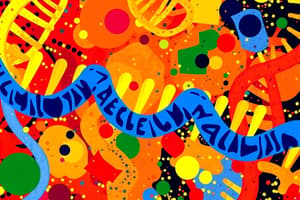 Nucleotide Chemistry: Structure and Bases