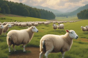 Sheep class test