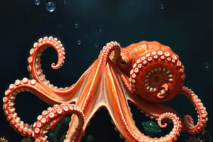 Octopus Biology and Behavior