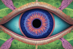 Microbiota Ocular