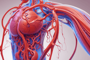 Ch 14 Part 2-Blood Flow Redistribution during Exercise