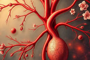 Circulatory System Overview