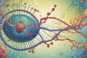 Spatial Localization of mRNAs