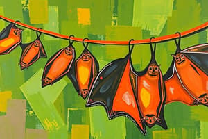 Straw-Colored Fruit Bat Migration in Zambia