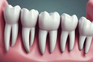 Dental Matrices