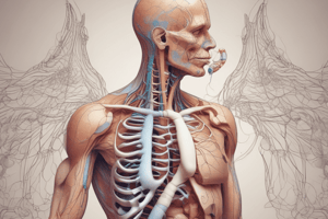 Biology: The Respiratory System