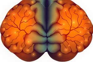 Stages of Addiction and Brain Circuitry