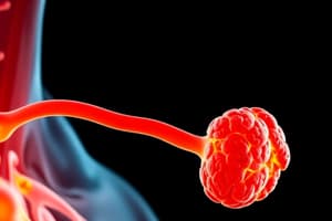 Métabolisme Phosphocalcique et Parathyroïdes