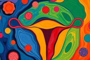 El inicio de la vida y ciclo menstrual