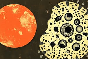 Cell Cycle and Interphase Overview