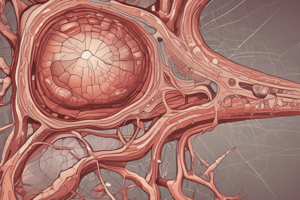 Integumentary System Development and Aging