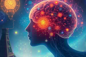 Neuropsychologie : Fonctions Exécutives