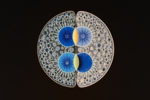 Cell Division and Mitosis Overview