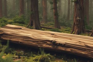 Propiedades de la madera verde