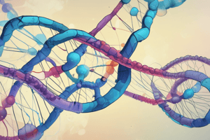 T.11 La transcripción de la RNA Pol II (títol)