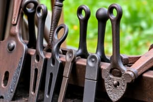 Iron Tools and Agriculture Quiz