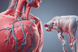 Clinical Manifestations in Veterinary Cardiology