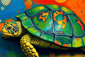 Funció del color de les tortugues