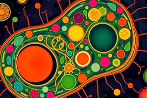 Cell Structure and Function: Chapter 7