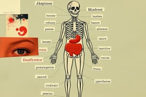 French Body Parts and Common Ailments