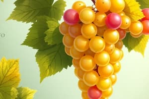 Vitigni e Vini: Quiz sul Moscato