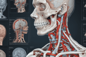 Imágenes diagnósticas del cuello