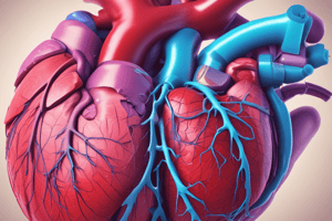 Ventricular Septal Defect (VSD)