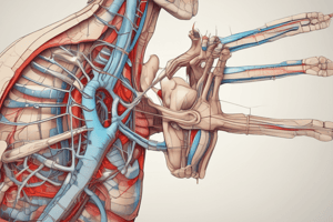 Venipuncture and Nerves of the Thoracic Limb