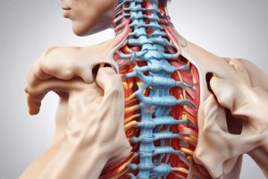 Spinal Deformities and Disc Herniation Quiz