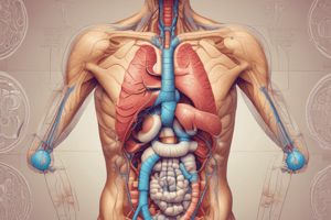 Gastrointestinal Physiology MBBS Year 1