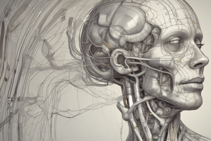 Neurophysiology: Vestibular System- Pt 1