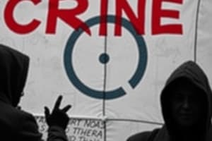 Neo-Marxism in Crime Theory