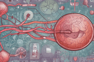 Chemical Pathology of the Liver - Liver Function Tests Overview