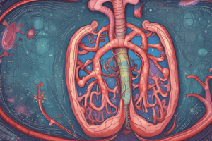 Pancreas Lab Values and Imaging Techniques