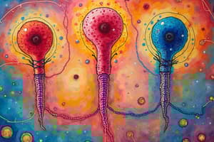 Human Growth and Development