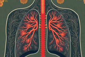 Human Respiration: Processes and Gas Exchange