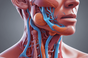 Respiratory System Anatomy Quiz