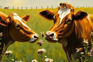 Bee and Cow Interactions