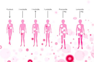 Antibody Identification in Blood Group Systems