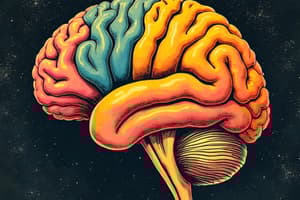 Phrenology & Neuroimaging: Brain Regions and Structures