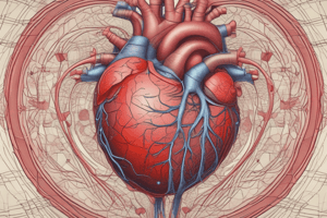 Circulatory System: Heart Contractions and Blood Flow