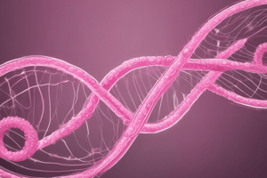 Breast Cancer Genetics